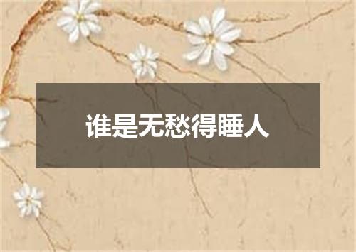 谁是无愁得睡人