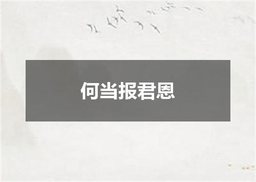 何当报君恩