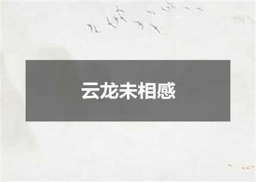 云龙未相感