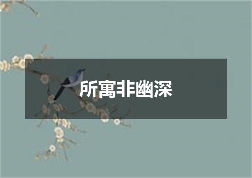 所寓非幽深