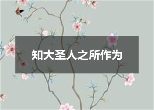 知大圣人之所作为