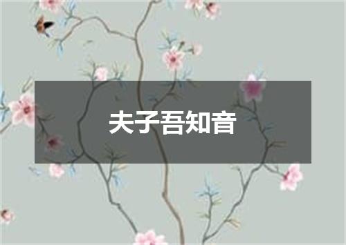 夫子吾知音