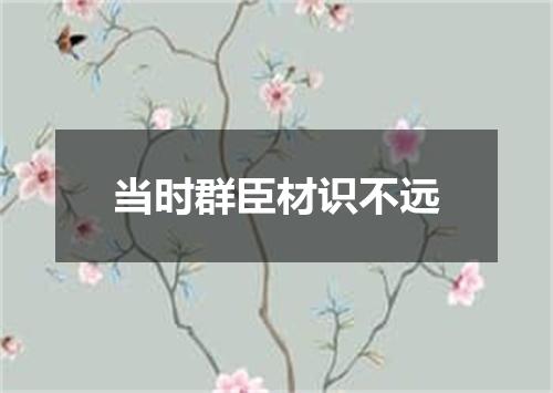 当时群臣材识不远