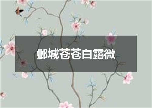 邺城苍苍白露微