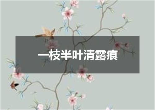 一枝半叶清露痕