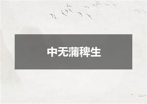 中无蒲稗生