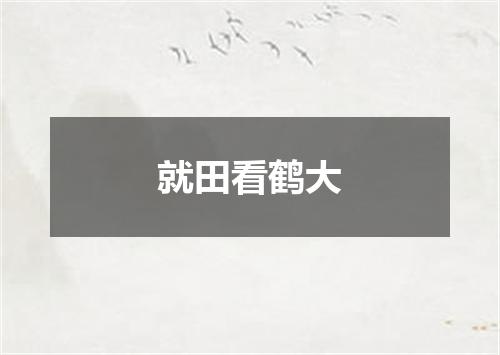 就田看鹤大
