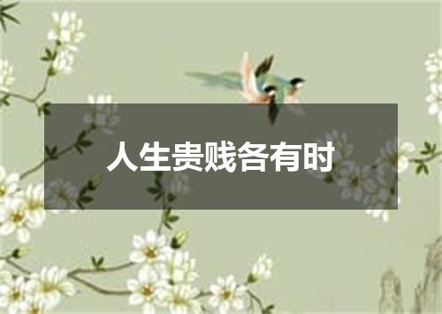 人生贵贱各有时