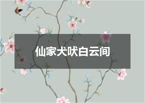 仙家犬吠白云间
