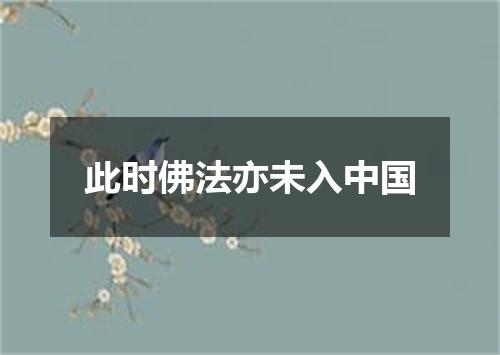 此时佛法亦未入中国