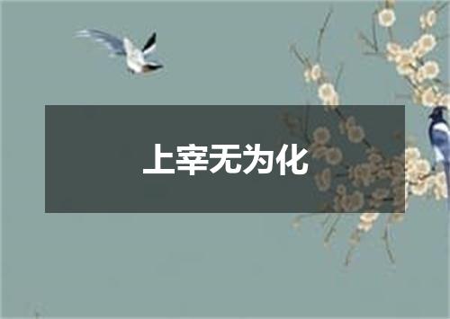 上宰无为化