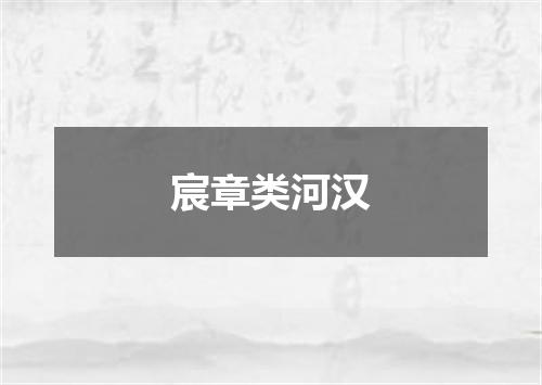 宸章类河汉