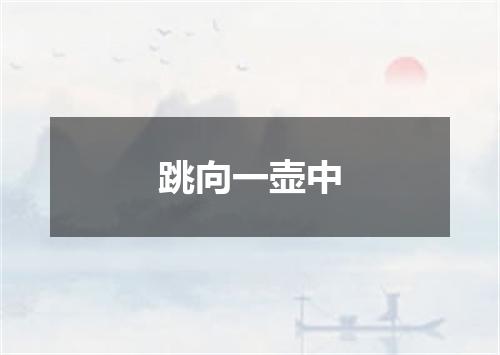 跳向一壶中