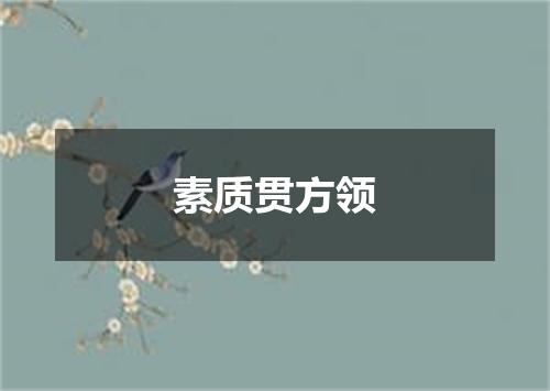 素质贯方领