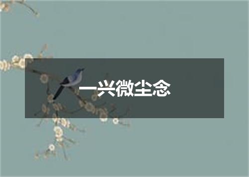一兴微尘念