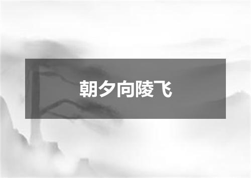 朝夕向陵飞