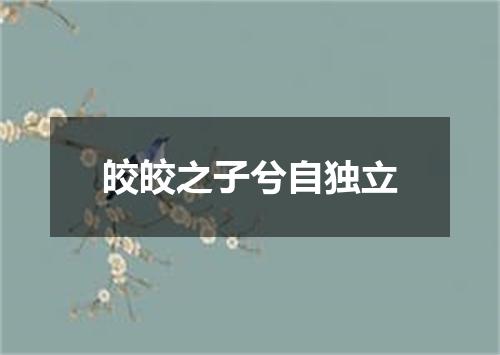 皎皎之子兮自独立