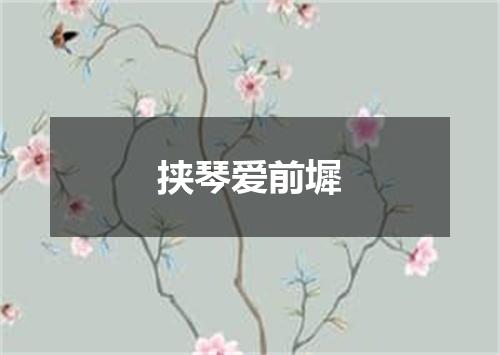 挟琴爱前墀