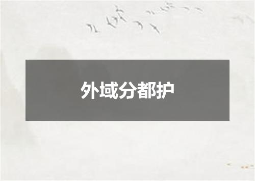 外域分都护