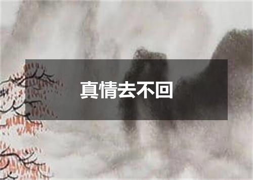 真情去不回