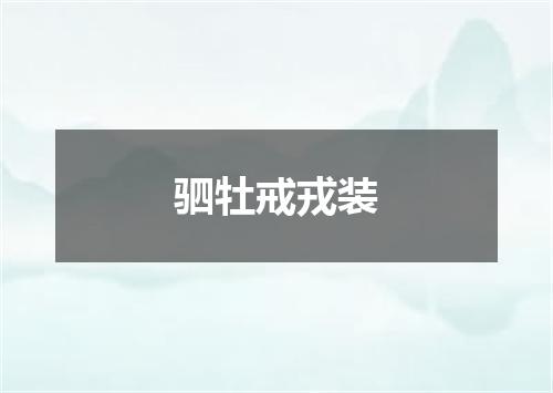 驷牡戒戎装