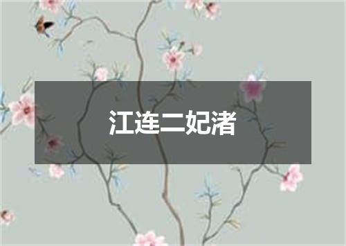 江连二妃渚