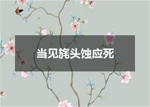 当见旄头蚀应死