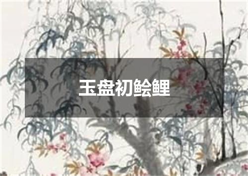 玉盘初鲙鲤