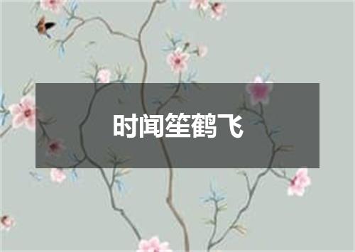时闻笙鹤飞