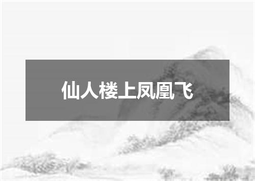 仙人楼上凤凰飞