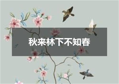 秋来林下不知春