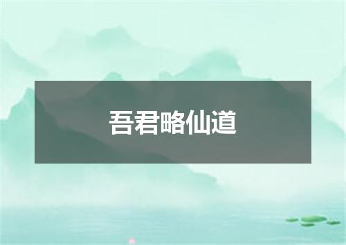 吾君略仙道