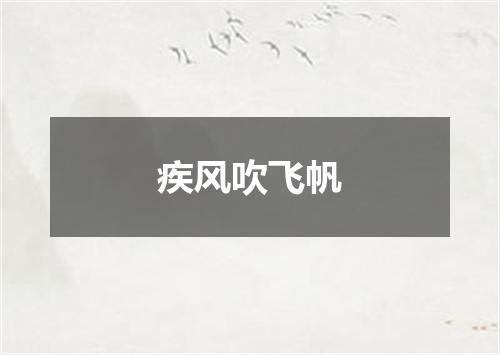 疾风吹飞帆