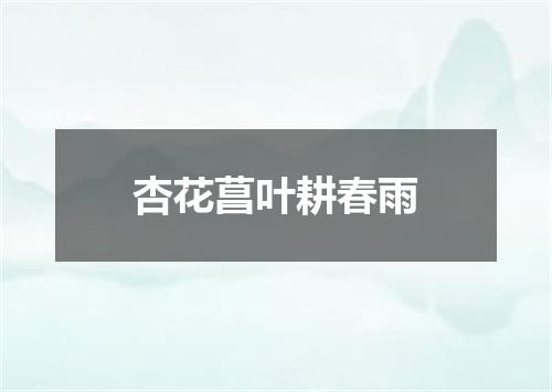 杏花菖叶耕春雨