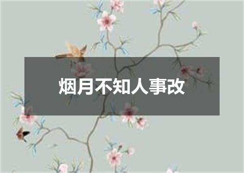 烟月不知人事改