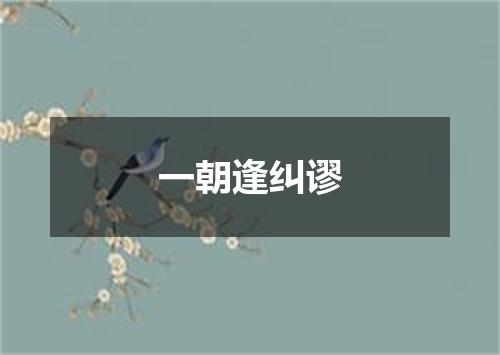 一朝逢纠谬