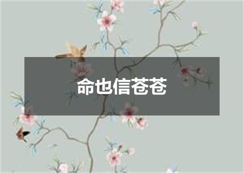 命也信苍苍