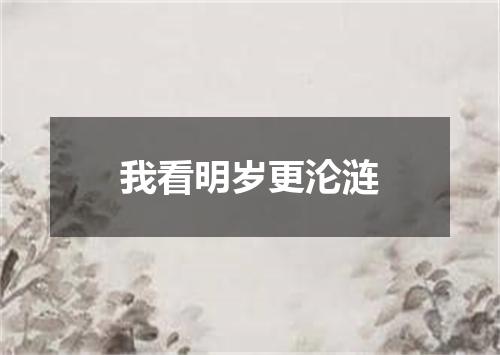 我看明岁更沦涟