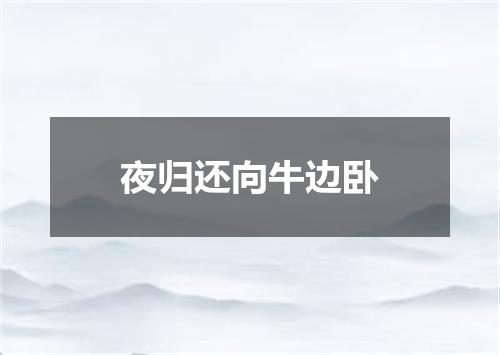 夜归还向牛边卧