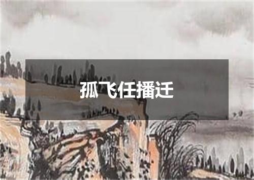 孤飞任播迁