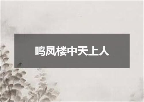 鸣凤楼中天上人