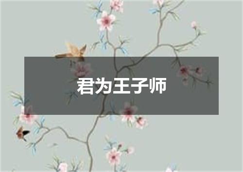 君为王子师