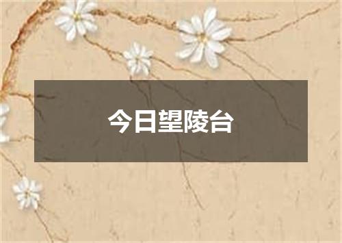 今日望陵台