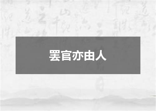 罢官亦由人