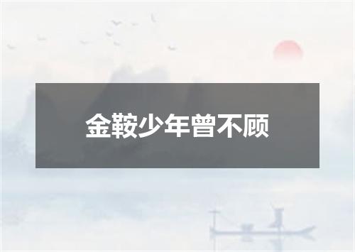 金鞍少年曾不顾