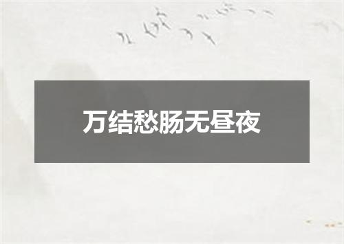 万结愁肠无昼夜