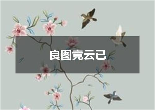 良图竟云已