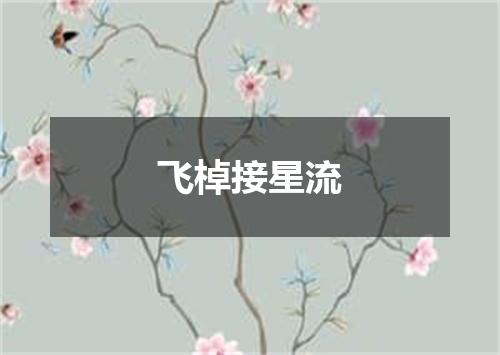 飞棹接星流