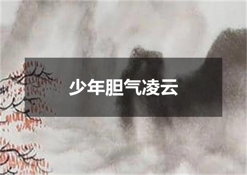少年胆气凌云