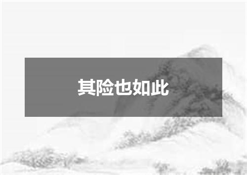 其险也如此